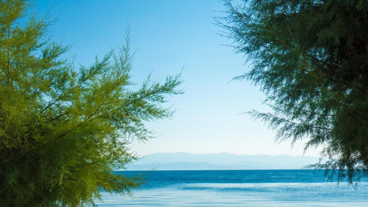 Afissos Seaside Studios Exterior foto